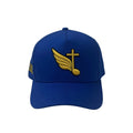 Young Shepherd Snapback - Blue
