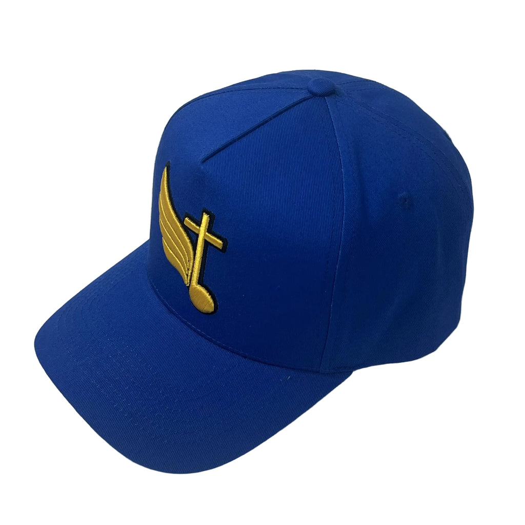 Young Shepherd Snapback - Blue